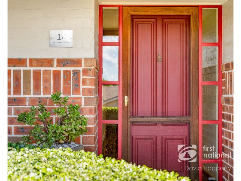 14 Appletree Avenue, Aberglasslyn NSW 2320