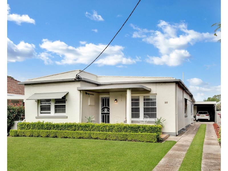 25 Roy Street, Lorn NSW 2320