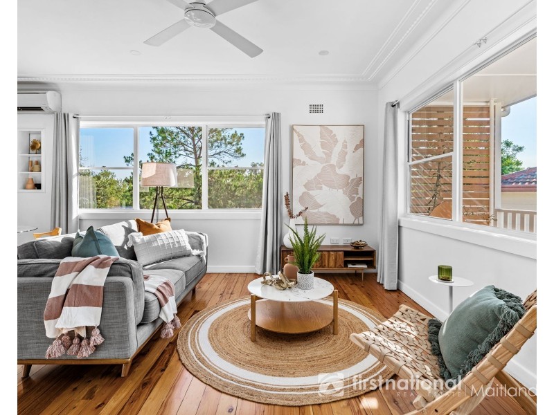 19 Clarence Street, Tenambit NSW 2323