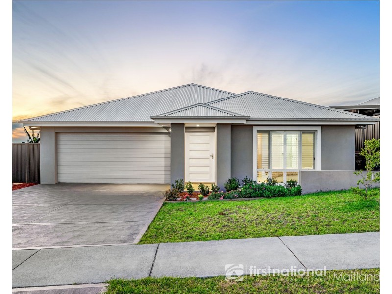 19 Riverside Street, Bolwarra NSW 2320