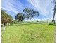 1230 Paterson Road, Duns Creek NSW 2321