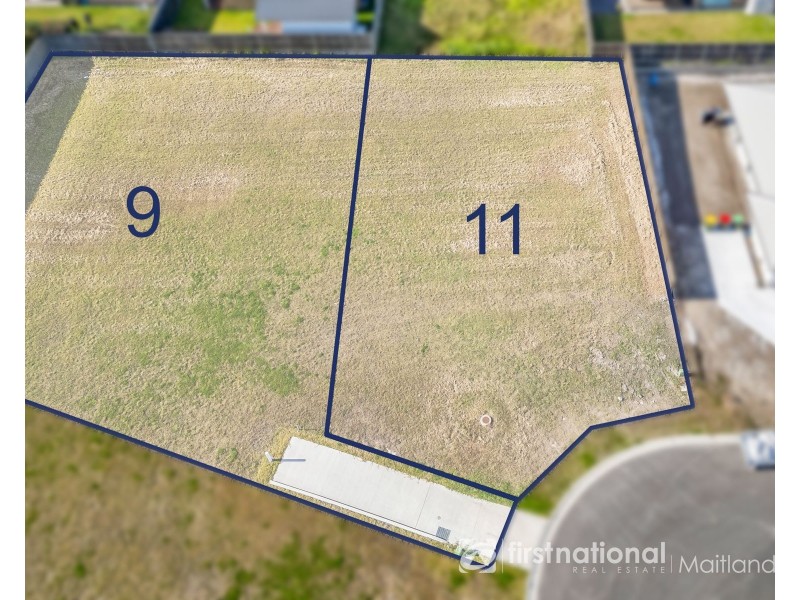 11 Sage Crescent, Chisholm NSW 2322