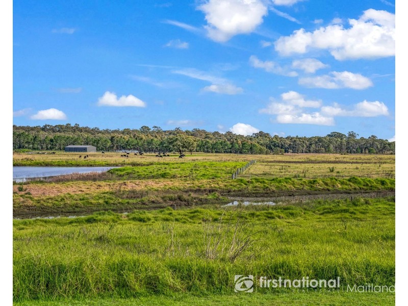 11 Sage Crescent, Chisholm NSW 2322