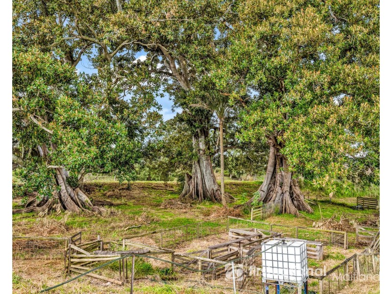 78 Morris Road, Phoenix Park NSW 2321