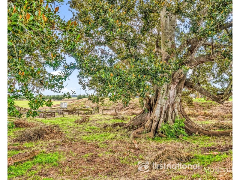 78 Morris Road, Phoenix Park NSW 2321