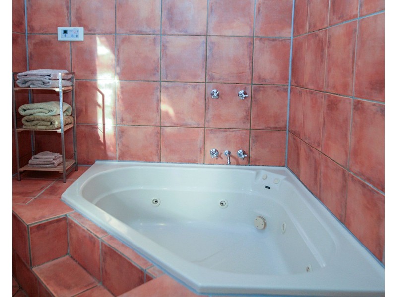 4 Roy Street, Lorn NSW 2320