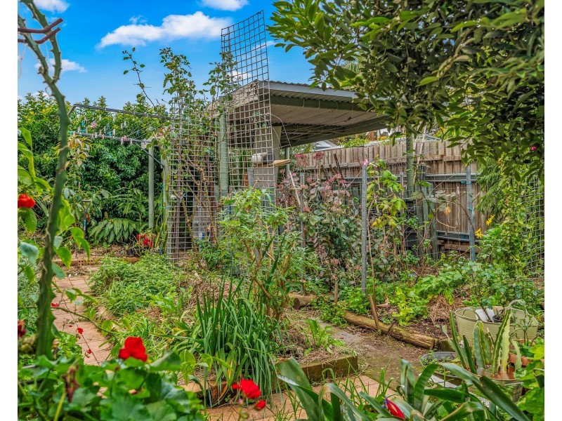 21 Louth Park Road, South Maitland NSW 2320