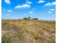8 GOLDEN BELL CIRCUIT, Gillieston Heights NSW 2321