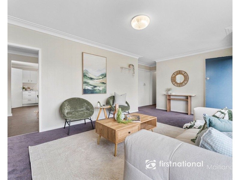 15 YOUNG STREET, Rutherford NSW 2320