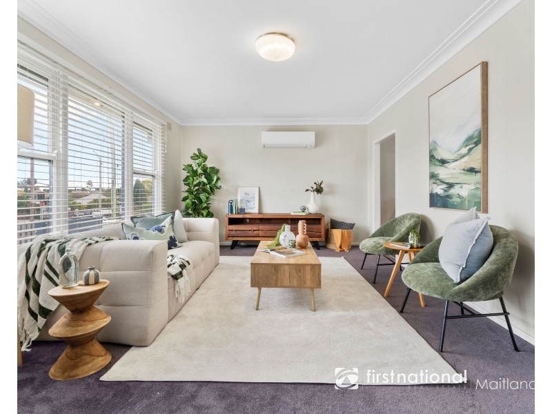 15 YOUNG STREET, Rutherford NSW 2320