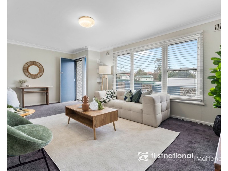 15 YOUNG STREET, Rutherford NSW 2320