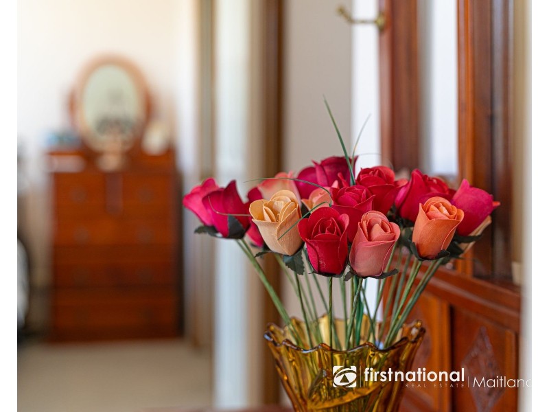 16 William Street, Gillieston Heights NSW 2321