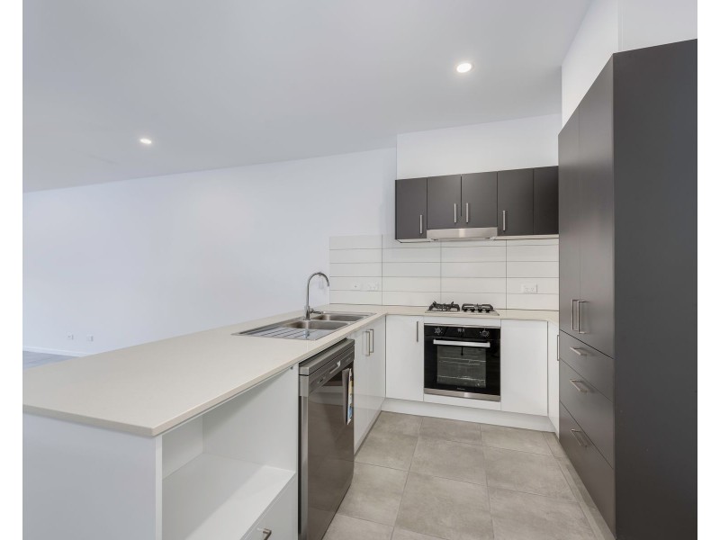 17A Leatherwood Grove, Morisset NSW 2264