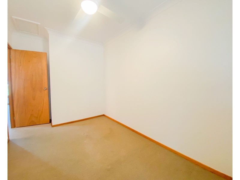 24 Wallis Street, East Maitland NSW 2323
