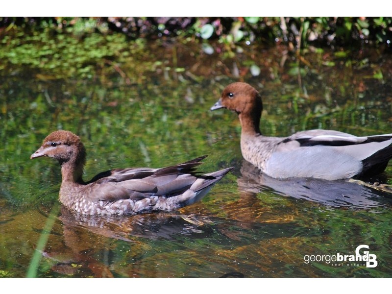 7 Barclay Close, Kariong NSW 2250