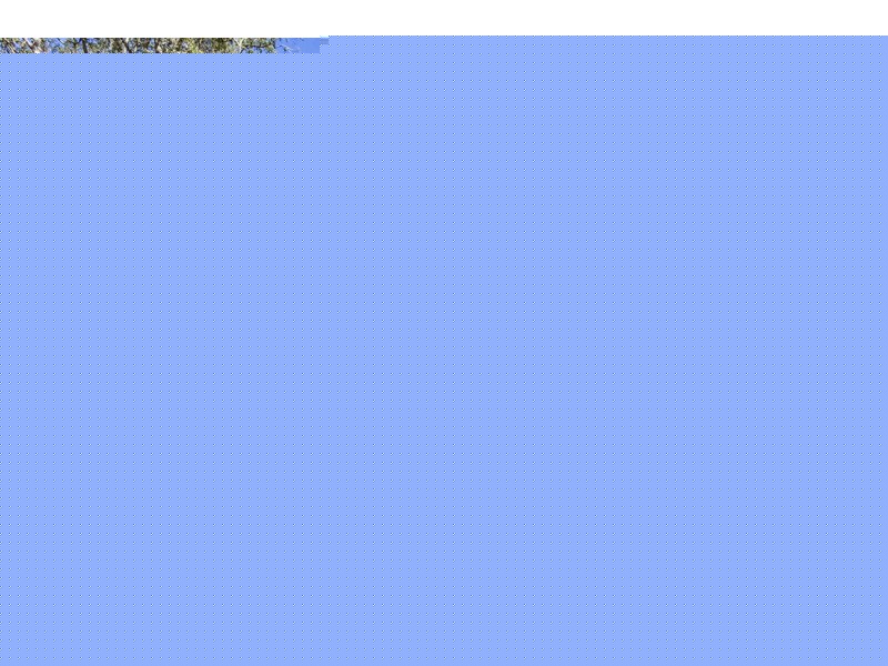 1 Karool Road, Mooney Mooney Creek NSW 2250