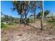 11 Burrawang Boulevard, Toronto NSW 2283