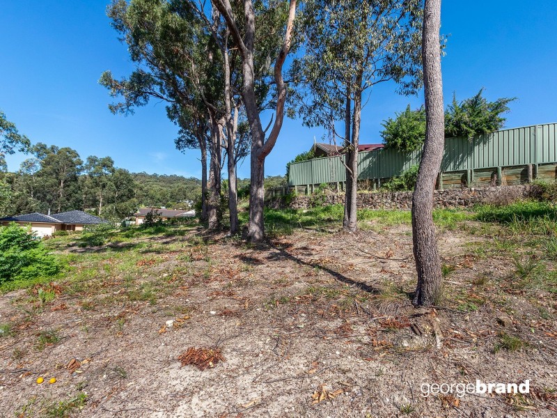 11 Burrawang Boulevard, Toronto NSW 2283
