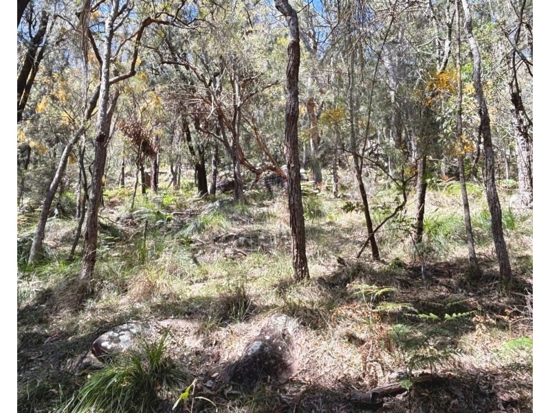 63 Glenworth Valley Road, Wendoree Park NSW 2250