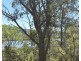 63 Glenworth Valley Road, Wendoree Park NSW 2250