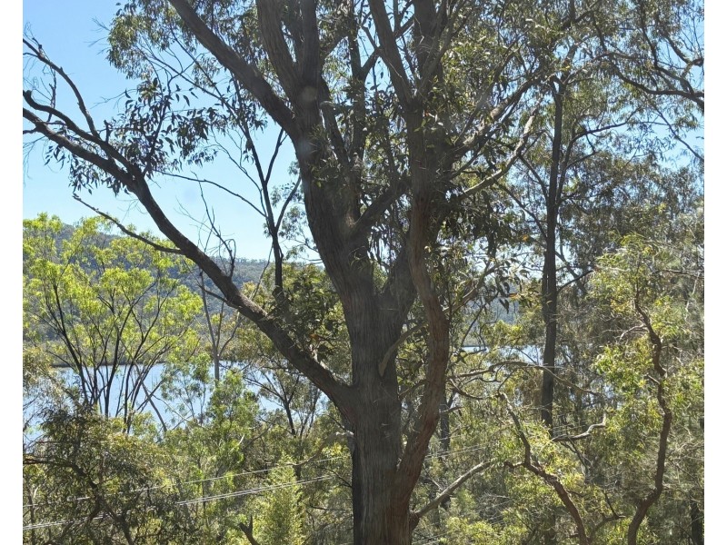 63 Glenworth Valley Road, Wendoree Park NSW 2250