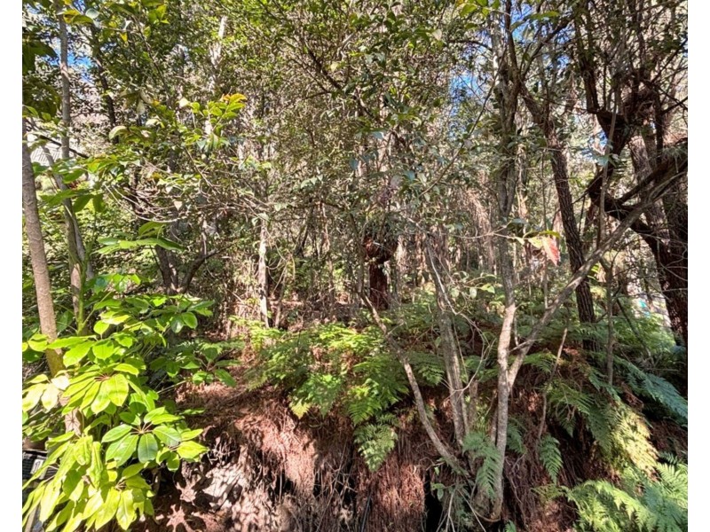 53 Glenworth Valley Road, Wendoree Park NSW 2250