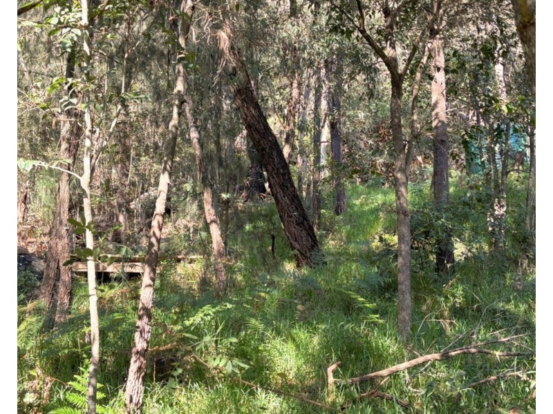 53 Glenworth Valley Road, Wendoree Park NSW 2250