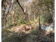53 Glenworth Valley Road, Wendoree Park NSW 2250