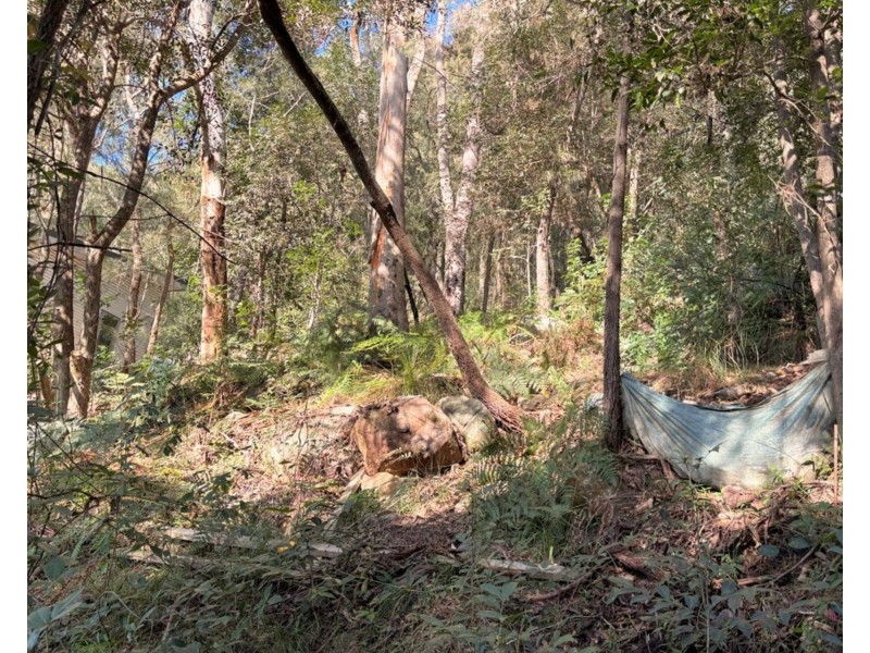 53 Glenworth Valley Road, Wendoree Park NSW 2250