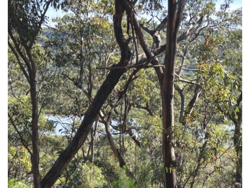 175 Glenworth Valley Road, Mount White NSW 2250