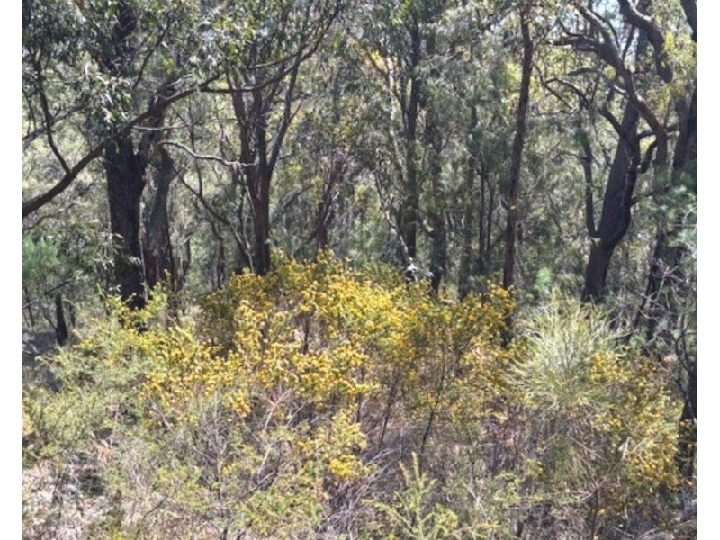 175 Glenworth Valley Road, Mount White NSW 2250