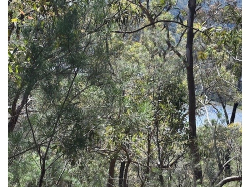 175 Glenworth Valley Road, Mount White NSW 2250