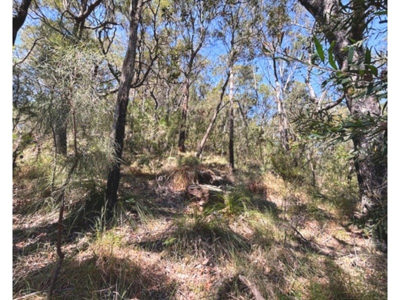 175 Glenworth Valley Road, Mount White NSW 2250