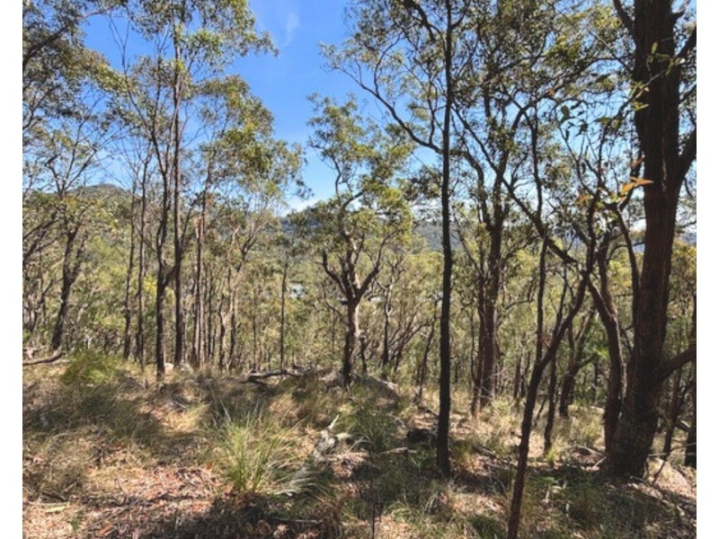 175 Glenworth Valley Road, Mount White NSW 2250