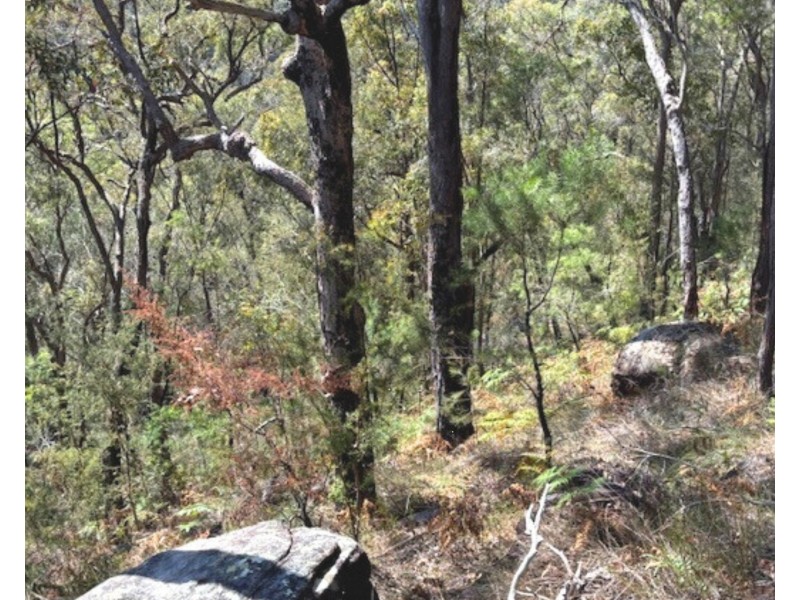 175 Glenworth Valley Road, Mount White NSW 2250