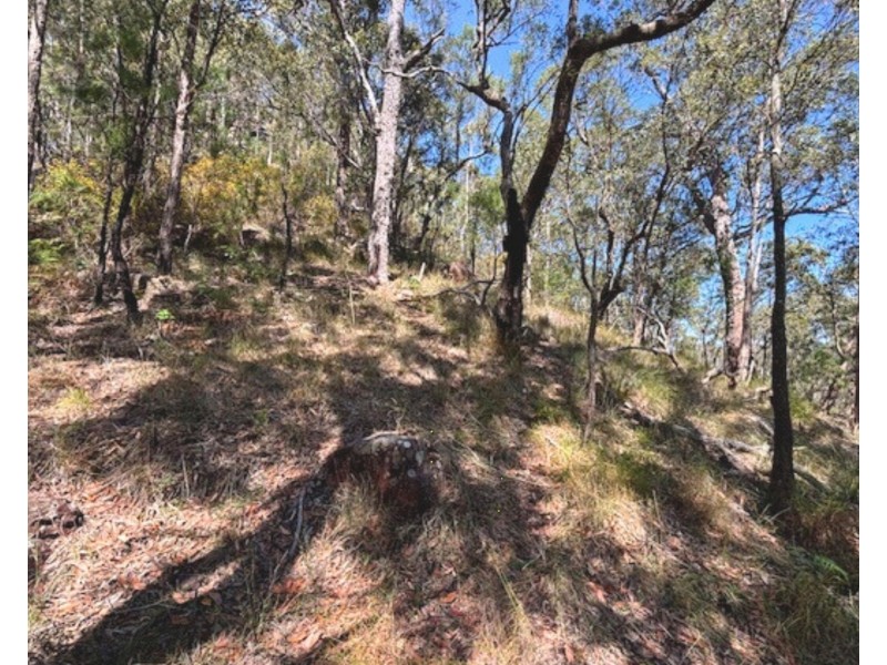 175 Glenworth Valley Road, Mount White NSW 2250