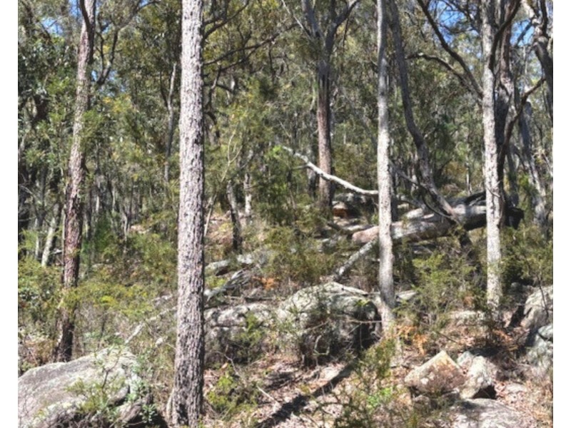 175 Glenworth Valley Road, Mount White NSW 2250