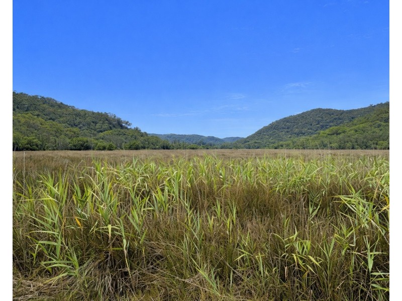 260 Glenworth Valley Road, Glenworth Valley NSW 2250