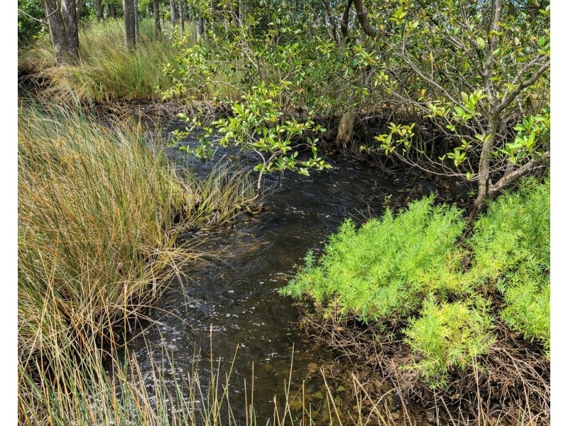 260 Glenworth Valley Road, Glenworth Valley NSW 2250