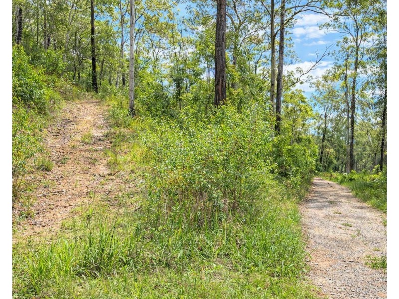 260 Glenworth Valley Road, Glenworth Valley NSW 2250