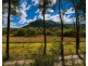 250 Glenworth Valley Road, Glenworth Valley NSW 2250