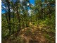 250 Glenworth Valley Road, Glenworth Valley NSW 2250
