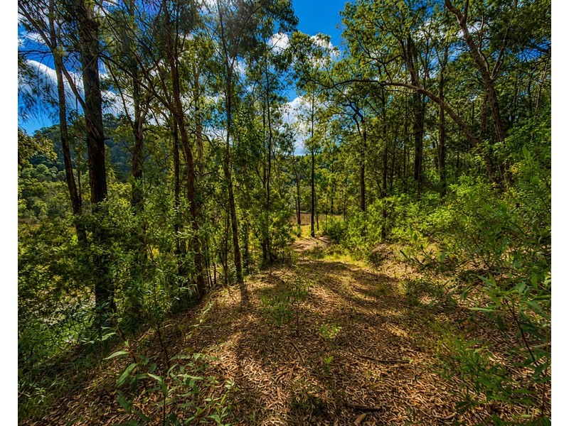 250 Glenworth Valley Road, Glenworth Valley NSW 2250