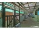 3/59 Doyle St, Macmasters Beach NSW 2251