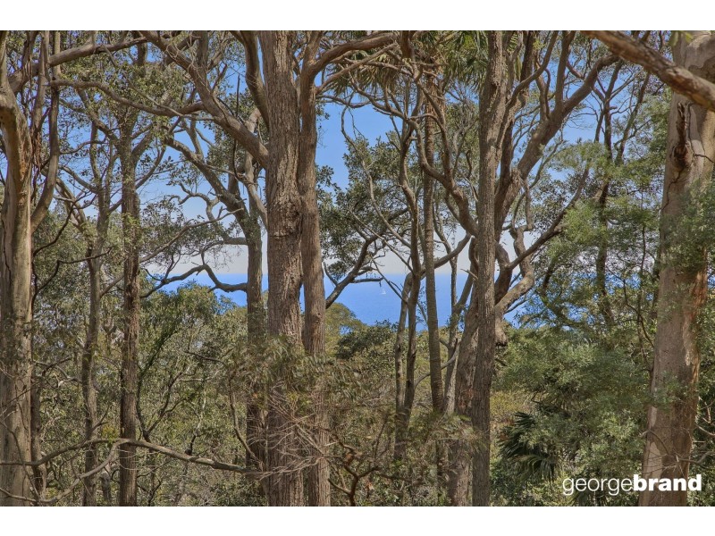 196 Cape Three Points Road, Copacabana NSW 2251