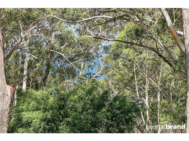 514 The Scenic Road, Macmasters Beach NSW 2251