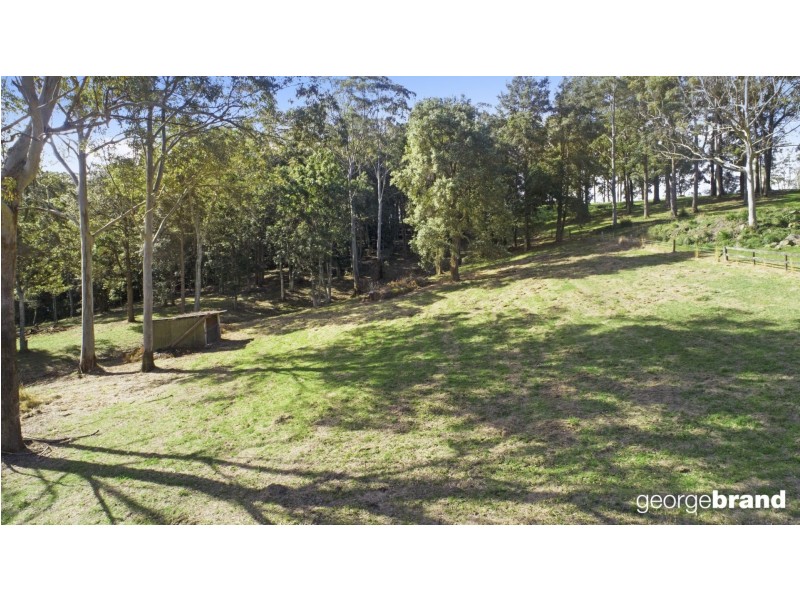 31 Karwin Ave, Springfield NSW 2250