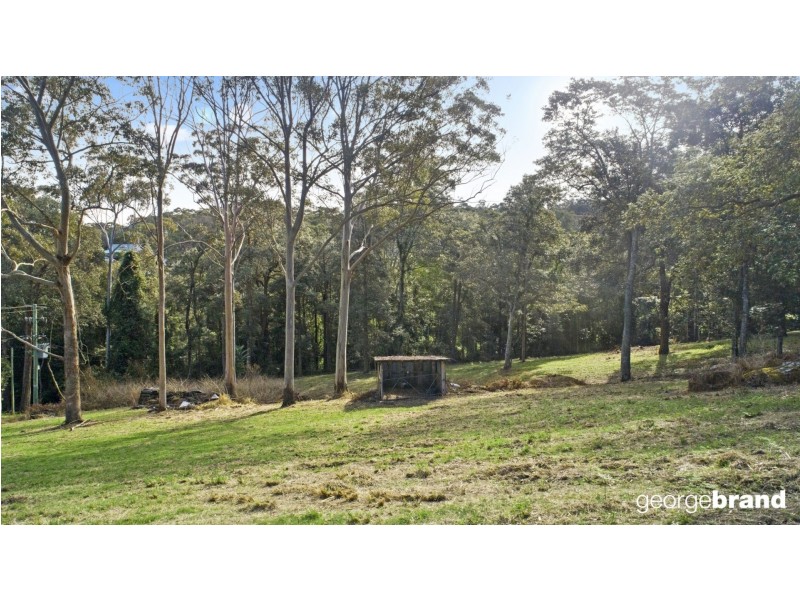 31 Karwin Ave, Springfield NSW 2250