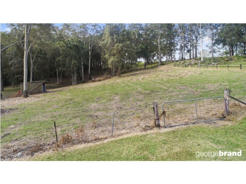 31 Karwin Ave, Springfield NSW 2250