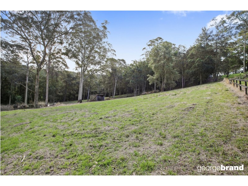 31 Karwin Ave, Springfield NSW 2250